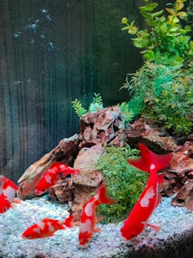 NARA IKIMONO MUSEUMに投稿された画像（2023/10/29）