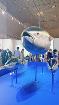 特別展「和食 ～日本の自然、人々の知恵～」に投稿された画像（2023/10/29）