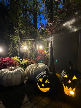 横浜イングリッシュガーデンに投稿された画像（2023/10/29）