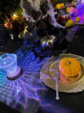 横浜イングリッシュガーデンに投稿された画像（2023/10/29）