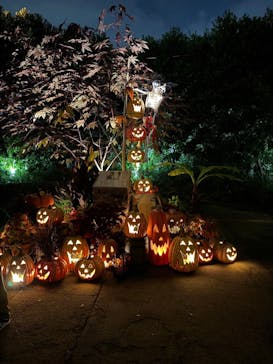 横浜イングリッシュガーデンに投稿された画像（2023/10/29）