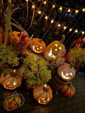 横浜イングリッシュガーデンに投稿された画像（2023/10/29）