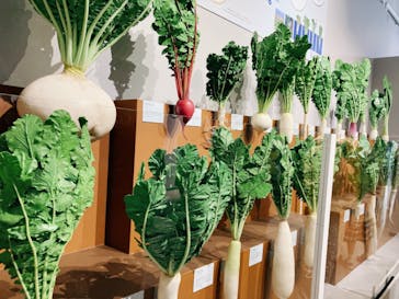 特別展「和食 ～日本の自然、人々の知恵～」に投稿された画像（2023/10/29）