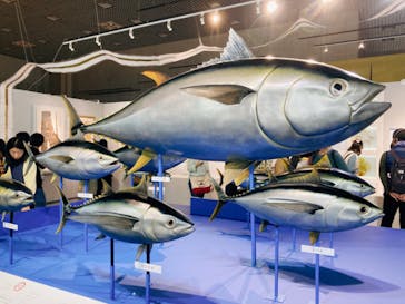 特別展「和食 ～日本の自然、人々の知恵～」に投稿された画像（2023/10/29）