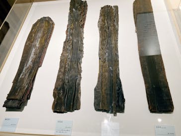 特別展「和食 ～日本の自然、人々の知恵～」に投稿された画像（2023/10/29）