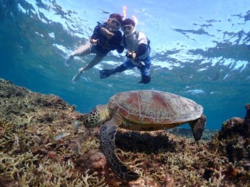 CHAMP TOUR　宮古島に投稿された画像（2023/10/29）