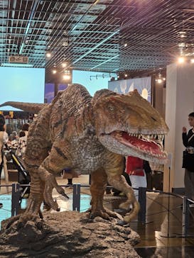 福井県立恐竜博物館に投稿された画像（2023/10/29）
