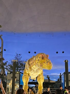 福井県立恐竜博物館に投稿された画像（2023/10/29）