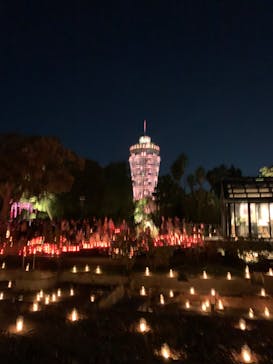 江の島シーキャンドルに投稿された画像（2023/10/29）