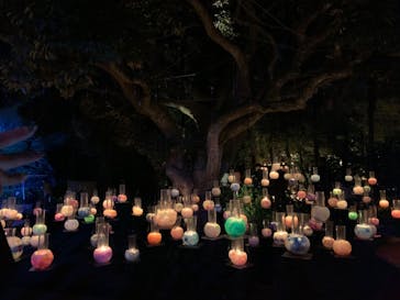 江の島シーキャンドルに投稿された画像（2023/10/29）