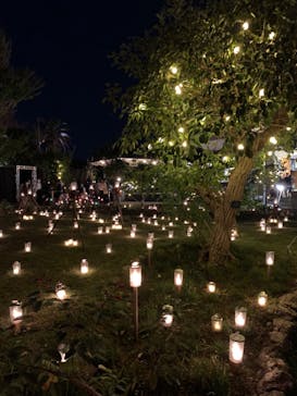 江の島シーキャンドルに投稿された画像（2023/10/29）