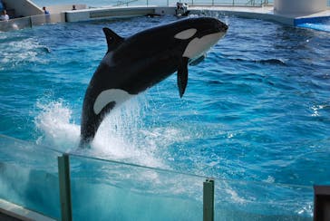 鴨川シーワールドに投稿された画像（2023/10/29）