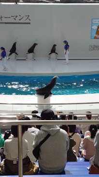 鴨川シーワールドに投稿された画像（2023/10/29）