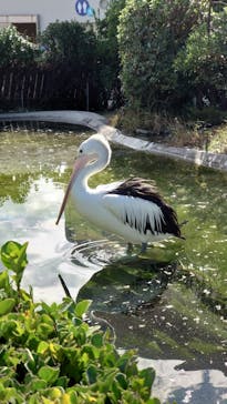 鴨川シーワールドに投稿された画像（2023/10/29）