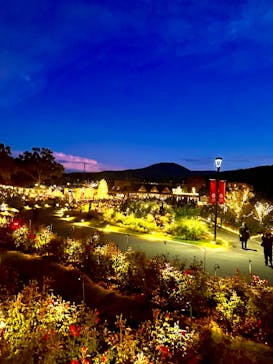 いばらきフラワーパークに投稿された画像（2023/10/29）