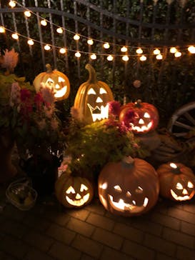 横浜イングリッシュガーデンに投稿された画像（2023/10/29）