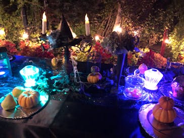 横浜イングリッシュガーデンに投稿された画像（2023/10/29）