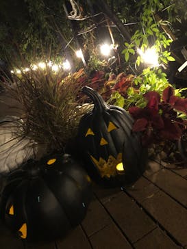 横浜イングリッシュガーデンに投稿された画像（2023/10/29）