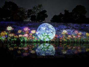 NAKED meets 二条城 2025 観月に投稿された画像（2023/10/29）