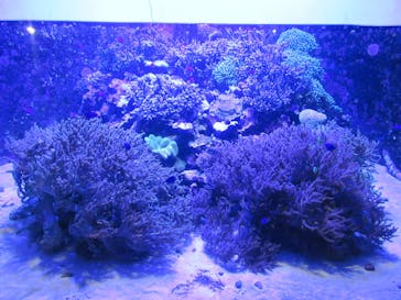 アクアワールド茨城県大洗水族館に投稿された画像（2023/10/29）