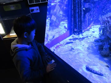 アクアワールド茨城県大洗水族館に投稿された画像（2023/10/29）