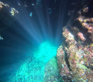 青の洞窟専門店　沖縄ダイビングショップ和に投稿された画像（2023/10/29）