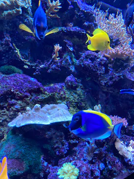 マクセル アクアパーク品川に投稿された画像（2023/10/29）