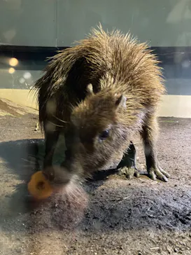 マクセル アクアパーク品川に投稿された画像（2023/10/29）