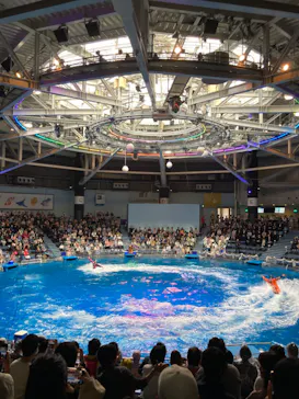 マクセル アクアパーク品川に投稿された画像（2023/10/29）