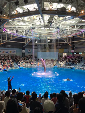 マクセル アクアパーク品川に投稿された画像（2023/10/29）