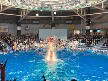 マクセル アクアパーク品川に投稿された画像（2023/10/29）