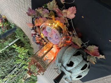 横浜イングリッシュガーデンに投稿された画像（2023/10/30）