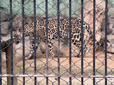 東武動物公園に投稿された画像（2023/10/30）