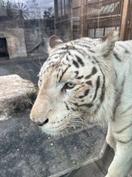 東武動物公園に投稿された画像（2023/10/30）