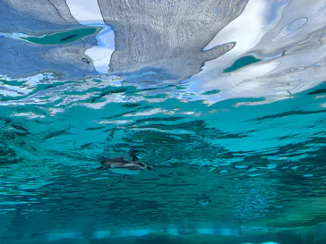 天王寺動物園に投稿された画像（2023/10/30）