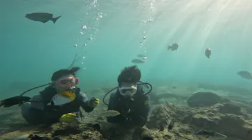 武藤潜水に投稿された画像（2023/10/30）