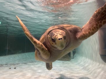 マリンワールド海の中道に投稿された画像（2023/10/30）
