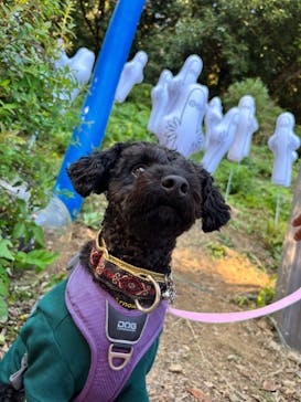 ムーミンバレーパークに投稿された画像（2023/10/30）