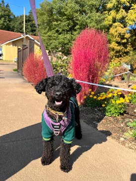 ムーミンバレーパークに投稿された画像（2023/10/30）