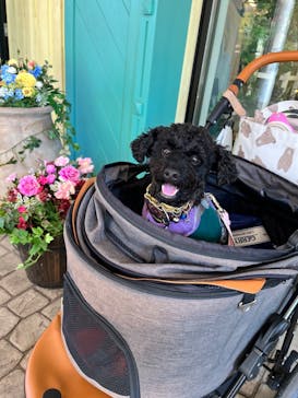 ムーミンバレーパークに投稿された画像（2023/10/30）