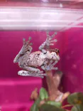 サンシャイン水族館に投稿された画像（2023/10/30）
