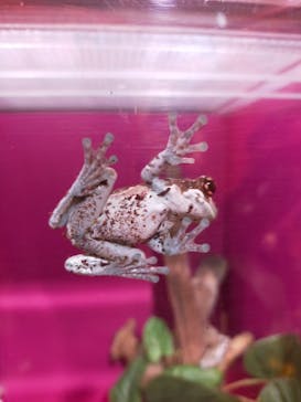 サンシャイン水族館に投稿された画像（2023/10/30）