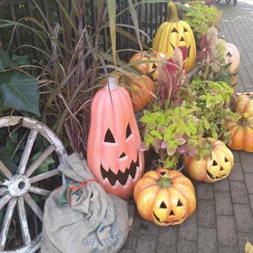 横浜イングリッシュガーデンに投稿された画像（2023/10/30）