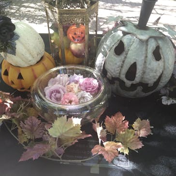 横浜イングリッシュガーデンに投稿された画像（2023/10/30）