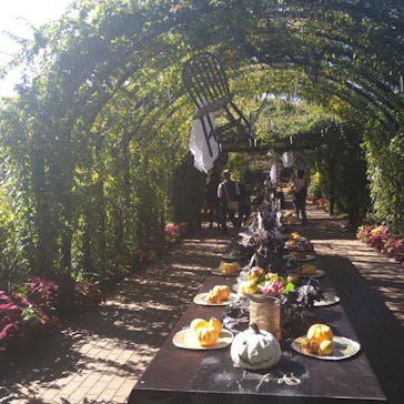 横浜イングリッシュガーデンに投稿された画像（2023/10/30）