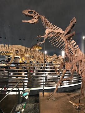 福井県立恐竜博物館に投稿された画像（2023/10/30）