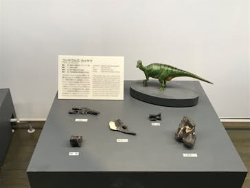 福井県立恐竜博物館に投稿された画像（2023/10/30）