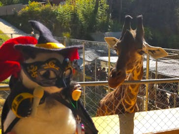 しろとり動物園に投稿された画像（2023/10/30）