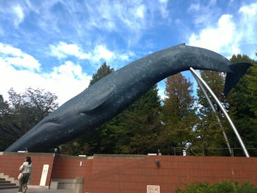 国立科学博物館に投稿された画像（2023/10/30）