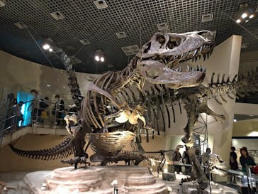 国立科学博物館に投稿された画像（2023/10/30）